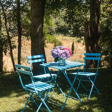 Collina Blu Bolsena