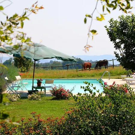 Bed & Breakfast Collina Blu