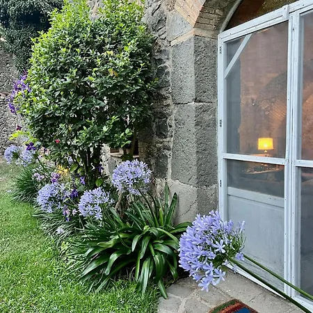B&B Collina Blu 볼세나
