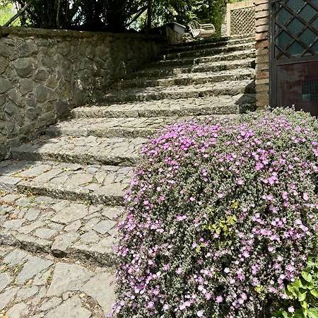 Bed & Breakfast Collina Blu *